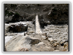 Precarious Bridge on Trek