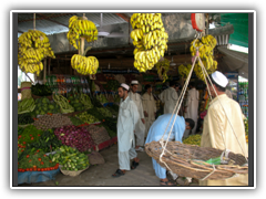 Roadside Fruit Stand