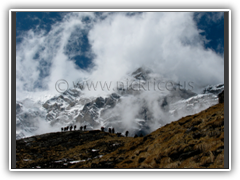 Porters carrying up to Manaslu Base Camp