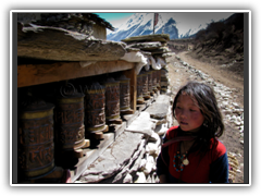 Tibetan Girl in Sama Gaon